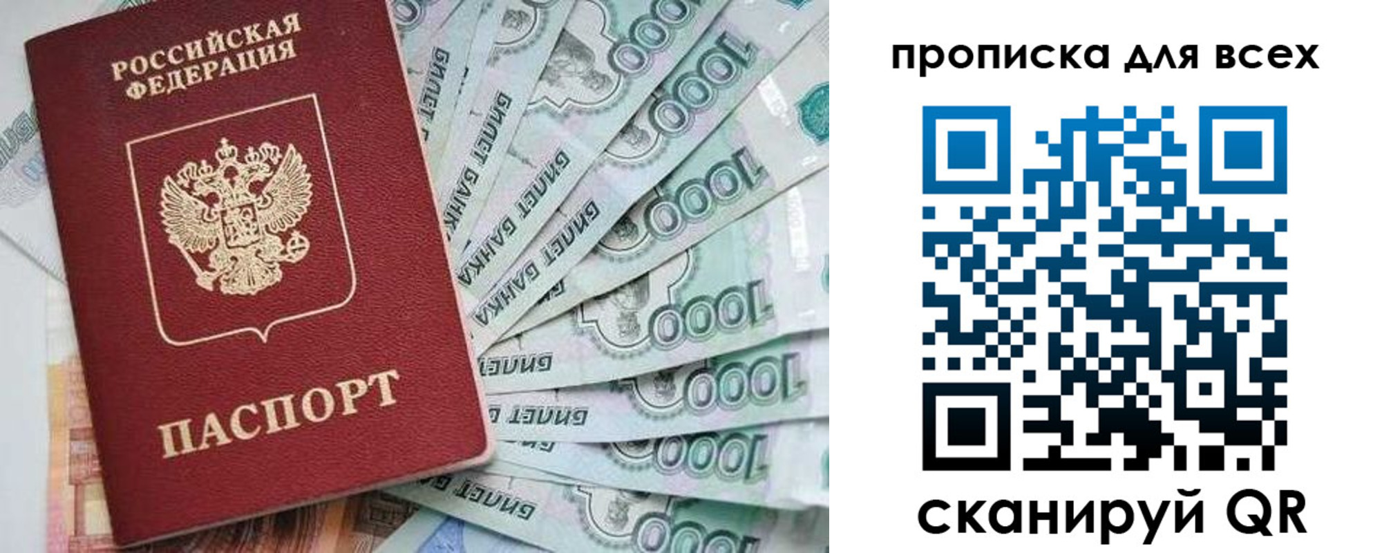 прописка гарантия в Ясном